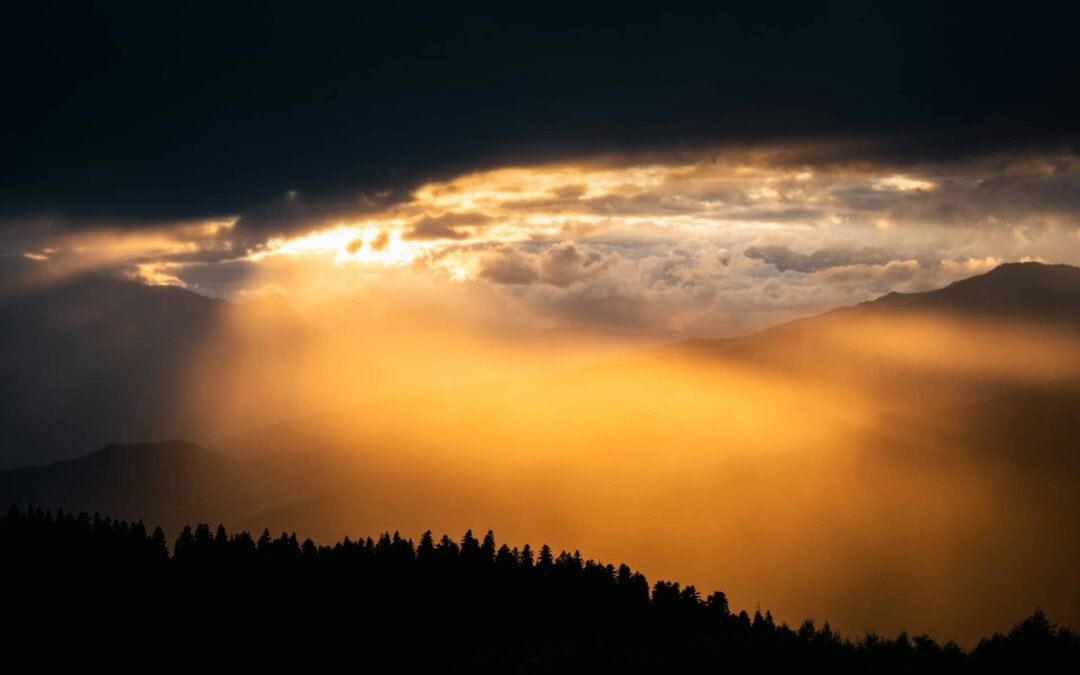 Cultivating a Spirit of Excellence